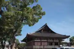 東寺（教王護国寺）の本殿