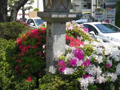 鶴岡八幡宮の自然
