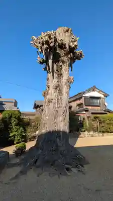 巖島神社(滋賀県)