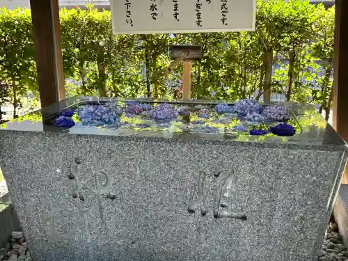 桜神宮の{uncategorized: "未分類", other: "その他", undefined: "問題あり", building: "その他建物", grave: "お墓", sacred_gate: "鳥居", guardian: "狛犬", statue: "像", buddha: "仏像", history: "歴史", nature: "自然", garden: "庭園", animal: "動物", pagoda: "塔", temizu: "手水舎", mountain_gate: "山門・神門", sanctuary: "本殿・本堂", subordinate: "末社・摂社", art: "芸術", scenery: "景色", jizo: "地蔵", ema: "絵馬", goshuin: "御朱印", omikuji: "おみくじ", items: "授与品その他", amulet: "お守り", goshuincho: "御朱印帳", eats: "食事", festival: "お祭り", votive_dance: "神楽", shichigosan: "七五三参", wedding: "結婚式", experience: "体験その他", initially: "初詣", around: "周辺", anti_infection: "感染症対策"}