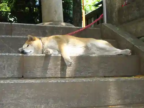 笠䅣稲荷神社(神奈川県)