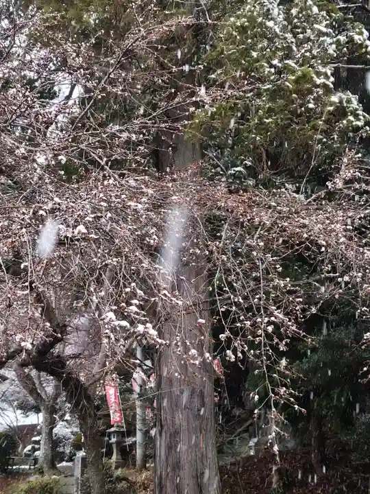 鹿島大神宮(福島県)