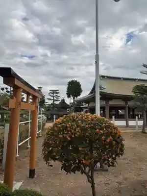 阿閇神社(兵庫県)