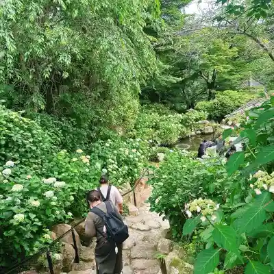 楽法寺（雨引観音）(茨城県)