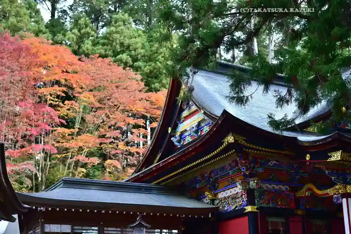 三峯神社(埼玉県)