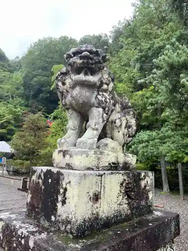 出雲大神宮の狛犬