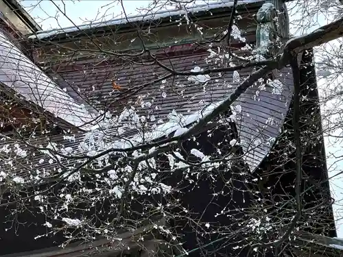 蚊里田八幡宮(長野県)