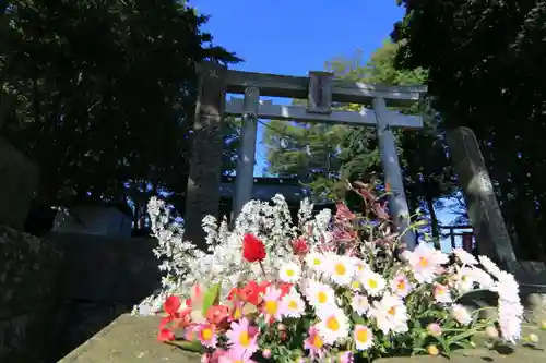 熊野福藏神社の鳥居