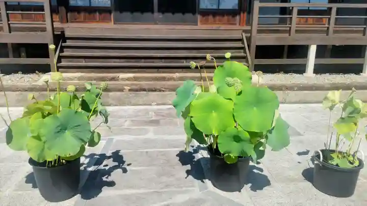 妙楽寺(山梨県)