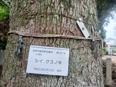 多賀神社の{uncategorized: "未分類", other: "その他", undefined: "問題あり", building: "その他建物", grave: "お墓", sacred_gate: "鳥居", guardian: "狛犬", statue: "像", buddha: "仏像", history: "歴史", nature: "自然", garden: "庭園", animal: "動物", pagoda: "塔", temizu: "手水舎", mountain_gate: "山門・神門", sanctuary: "本殿・本堂", subordinate: "末社・摂社", art: "芸術", scenery: "景色", jizo: "地蔵", ema: "絵馬", goshuin: "御朱印", omikuji: "おみくじ", items: "授与品その他", amulet: "お守り", goshuincho: "御朱印帳", eats: "食事", festival: "お祭り", votive_dance: "神楽", shichigosan: "七五三参", wedding: "結婚式", experience: "体験その他", initially: "初詣", around: "周辺", anti_infection: "感染症対策"}