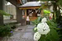 五十稲荷神社(栄寿稲荷神社)(東京都)