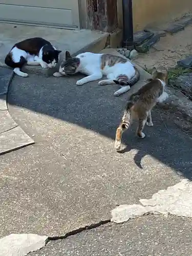 浄瑠璃寺の動物