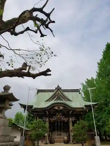 諏訪神社の御朱印