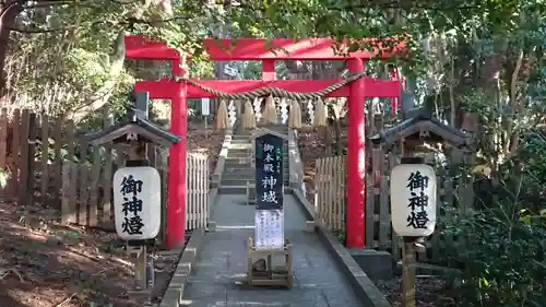 伊古奈比咩命神社の鳥居