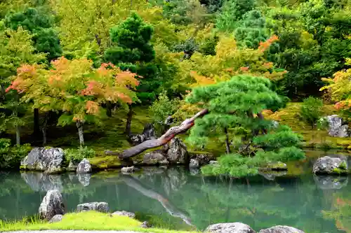 天龍寺の庭園