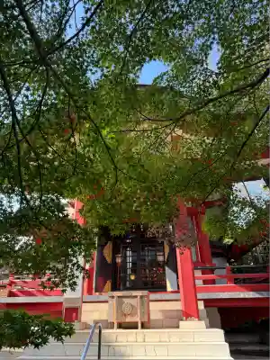 茶ノ木稲荷神社(東京都)