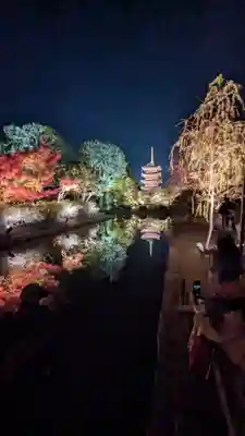 東寺（教王護国寺）(京都府)