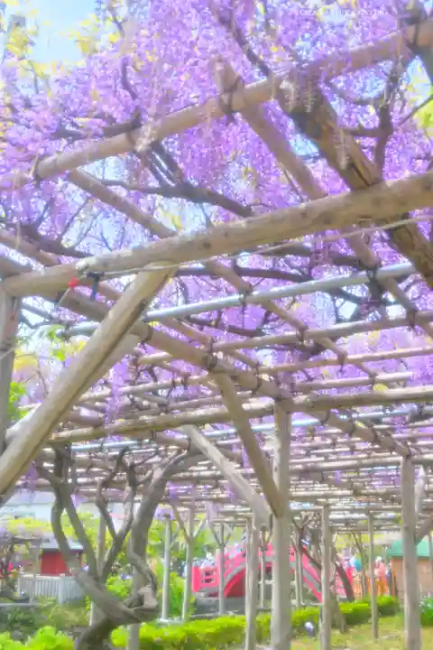 亀戸天神社(東京都)