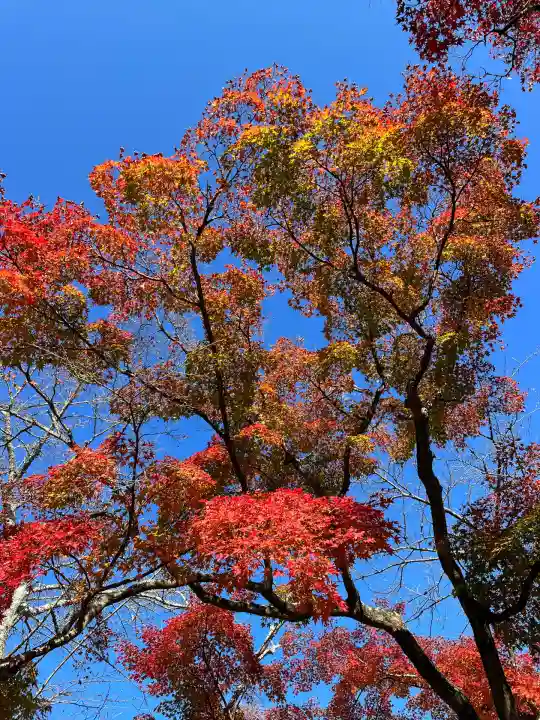 西教寺(滋賀県)