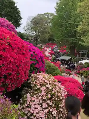根津神社(東京都)