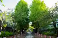 亀戸 香取神社(東京都)