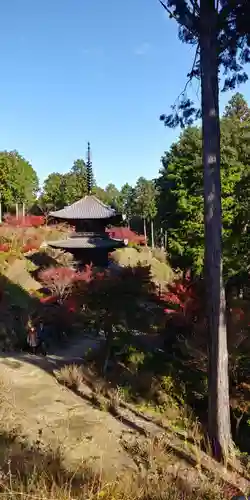 常樂寺の景色