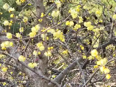 石光寺(奈良県)