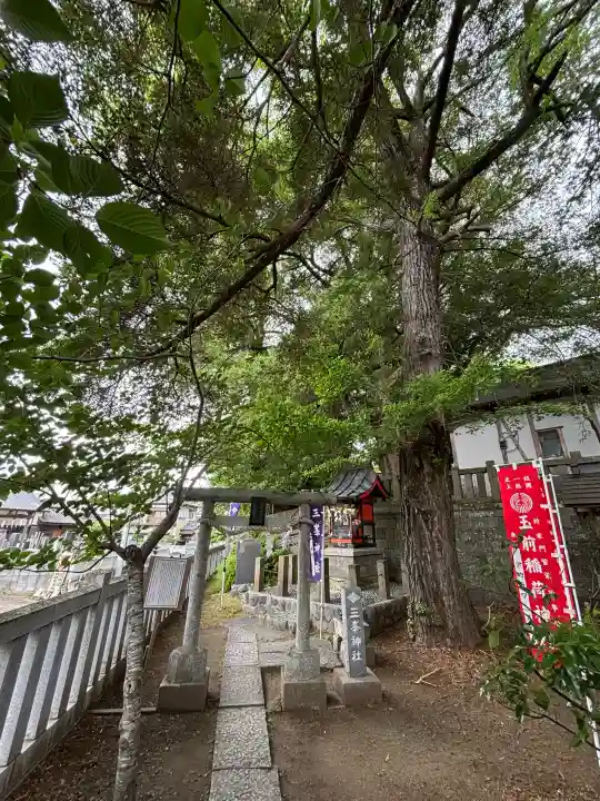玉前神社の{uncategorized: "未分類", other: "その他", undefined: "問題あり", building: "その他建物", grave: "お墓", sacred_gate: "鳥居", guardian: "狛犬", statue: "像", buddha: "仏像", history: "歴史", nature: "自然", garden: "庭園", animal: "動物", pagoda: "塔", temizu: "手水舎", mountain_gate: "山門・神門", sanctuary: "本殿・本堂", subordinate: "末社・摂社", art: "芸術", scenery: "景色", jizo: "地蔵", ema: "絵馬", goshuin: "御朱印", omikuji: "おみくじ", items: "授与品その他", amulet: "お守り", goshuincho: "御朱印帳", eats: "食事", festival: "お祭り", votive_dance: "神楽", shichigosan: "七五三参", wedding: "結婚式", experience: "体験その他", initially: "初詣", around: "周辺", anti_infection: "感染症対策"}