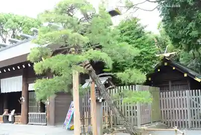 伊勢山皇大神宮(神奈川県)