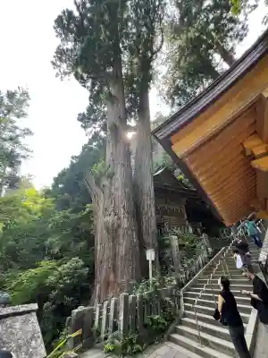 榛名神社(群馬県)