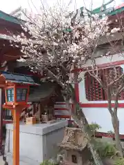 仙台大神宮の景色