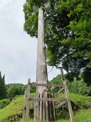 諏訪大社上社前宮のその他建物