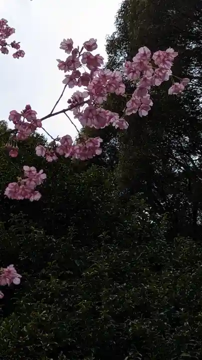 熊野若王子神社(京都府)