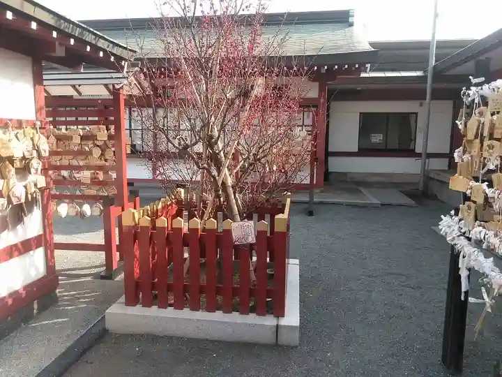 篠崎八幡神社の自然