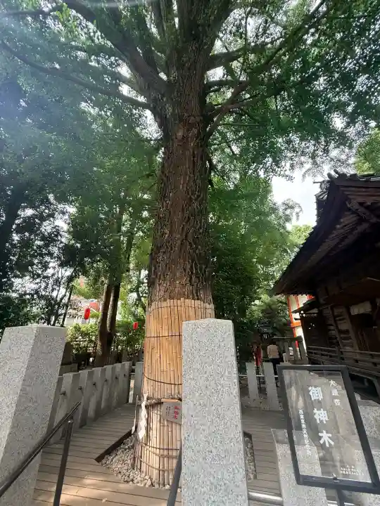 田無神社(東京都)