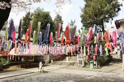 くまくま神社(導きの社 熊野町熊野神社)のお祭り