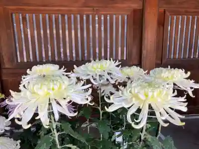 寒川神社(神奈川県)