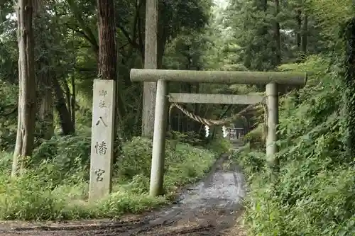 中村八幡宮の鳥居