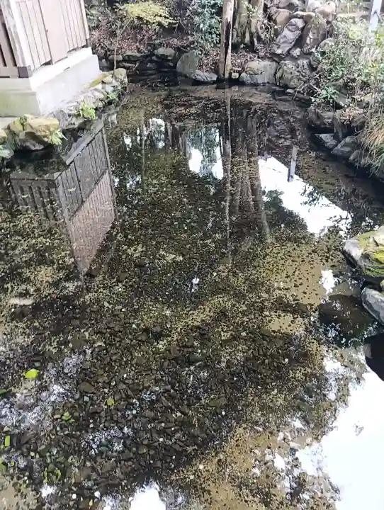 泉神社の{uncategorized: "未分類", other: "その他", undefined: "問題あり", building: "その他建物", grave: "お墓", sacred_gate: "鳥居", guardian: "狛犬", statue: "像", buddha: "仏像", history: "歴史", nature: "自然", garden: "庭園", animal: "動物", pagoda: "塔", temizu: "手水舎", mountain_gate: "山門・神門", sanctuary: "本殿・本堂", subordinate: "末社・摂社", art: "芸術", scenery: "景色", jizo: "地蔵", ema: "絵馬", goshuin: "御朱印", omikuji: "おみくじ", items: "授与品その他", amulet: "お守り", goshuincho: "御朱印帳", eats: "食事", festival: "お祭り", votive_dance: "神楽", shichigosan: "七五三参", wedding: "結婚式", experience: "体験その他", initially: "初詣", around: "周辺", anti_infection: "感染症対策"}