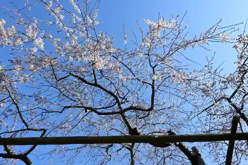 毘沙門堂門跡(京都府)