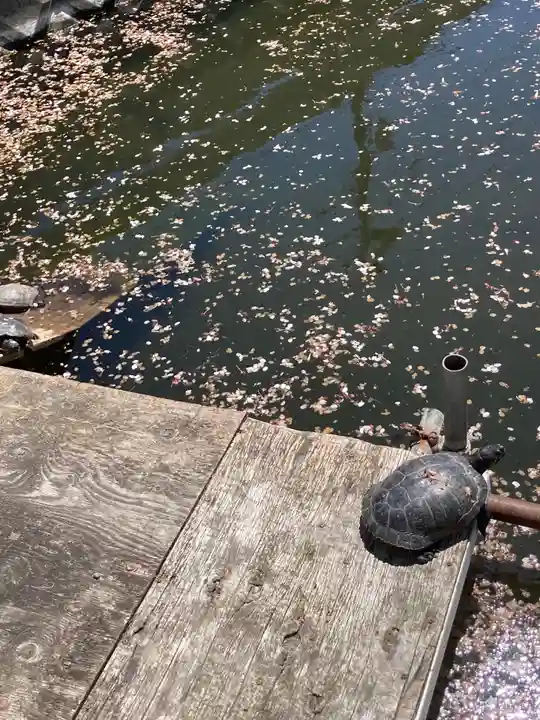 弁財天(下出縄)(神奈川県)