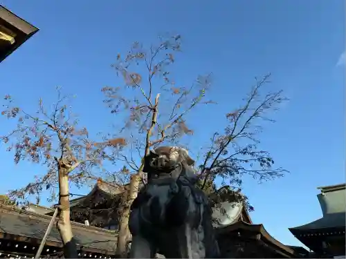 寒川神社(神奈川県)