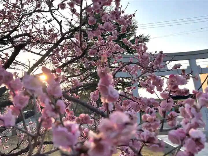 湯島天満宮(長野分社)(長野県)