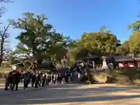 蒲生八幡神社のその他建物
