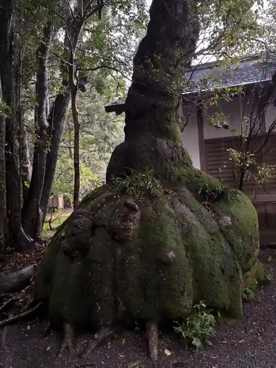 伊雜宮(皇大神宮別宮)(三重県)