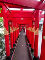 西来院の鳥居