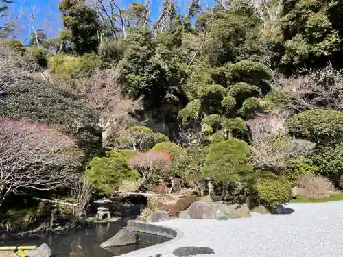 報国寺の庭園