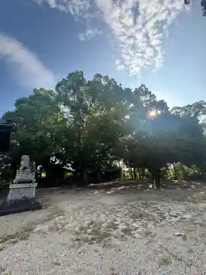 酒井神社(愛知県)
