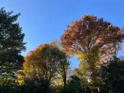 普門院(東京都)