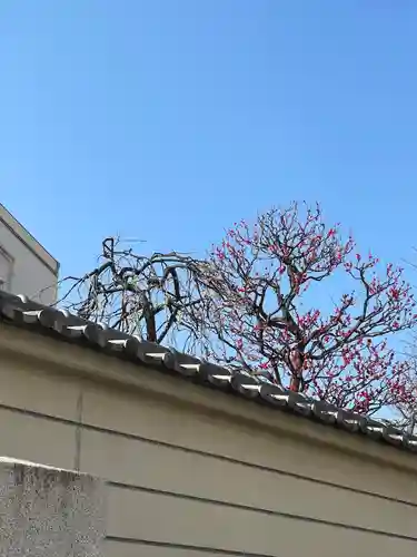 永福寺(東京都)